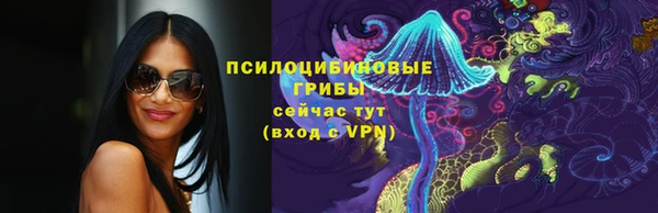 эйфоретик Медвежьегорск