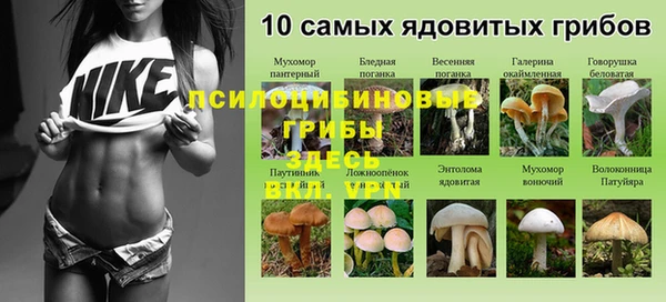 эйфоретик Медвежьегорск