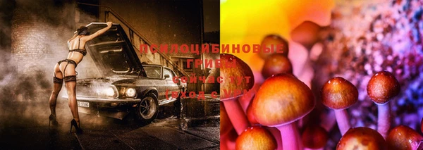 эйфоретик Медвежьегорск
