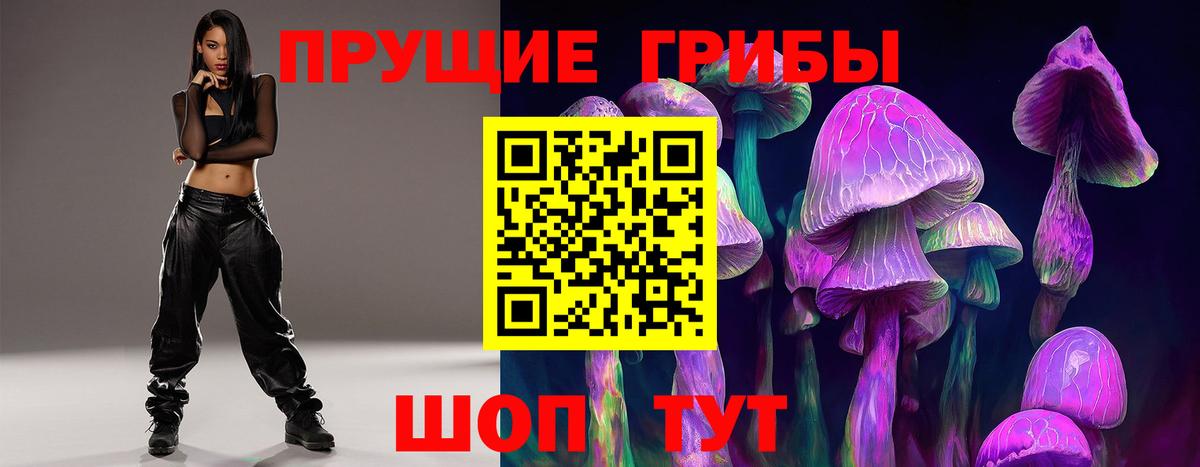 Галлюциногенные грибы Cubensis Балашиха