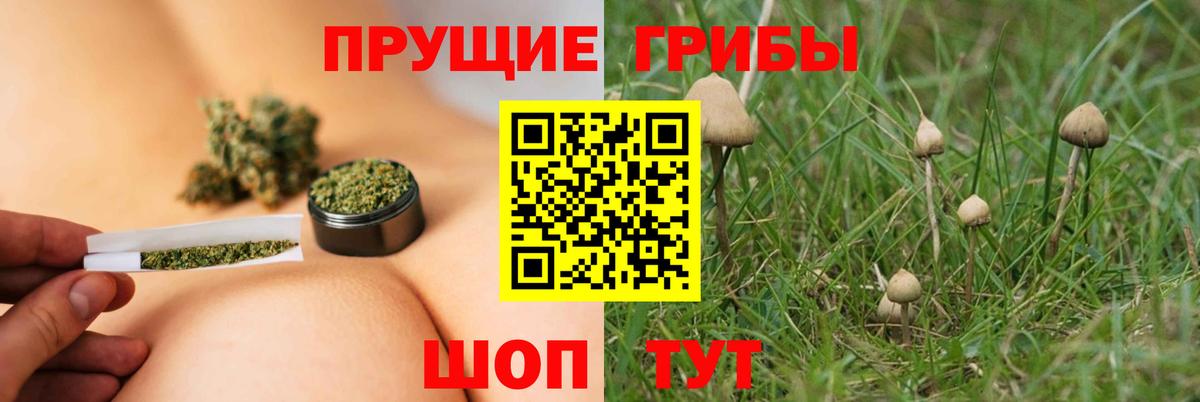 Балашиха  Галлюциногенные грибы Magic Shrooms  Вход с VPN 